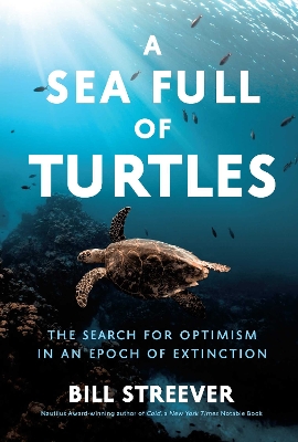 Book cover for A Sea Full of Turtles