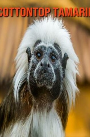 Cover of Cottontop Tamarin