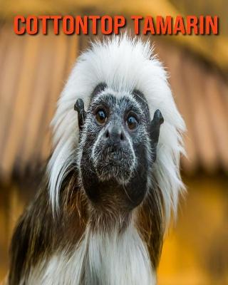 Book cover for Cottontop Tamarin