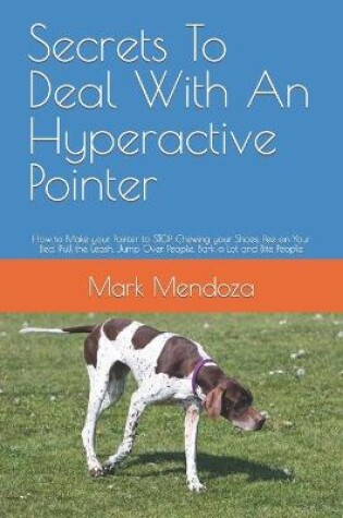 Cover of Secrets To Deal With An Hyperactive Pointer