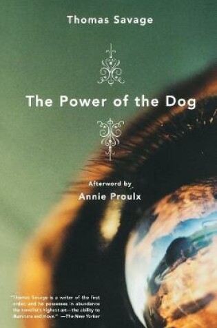 Cover of Power of the Dog
