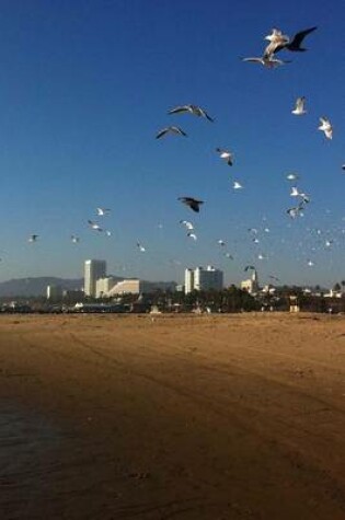 Cover of Website Password Organizer Santa Monica Beach