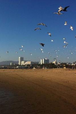 Book cover for Website Password Organizer Santa Monica Beach