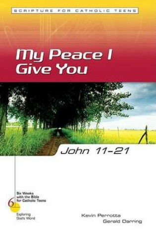 Cover of John 11-21