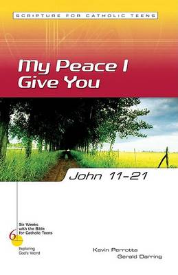 Cover of John 11-21