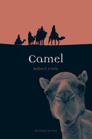 Cover of Camel