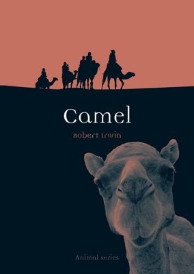 Book cover for Camel