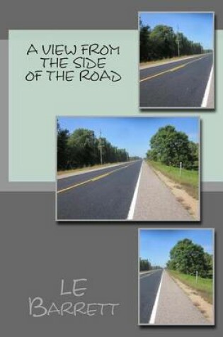 Cover of A View From The Side Of The Road