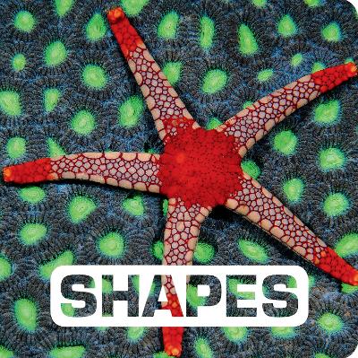 Book cover for Shapes: Picture This