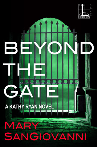 Cover of Beyond the Gate