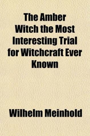 Cover of The Amber Witch the Most Interesting Trial for Witchcraft Ever Known