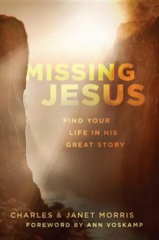 Cover of Missing Jesus