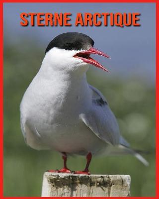 Book cover for Sterne Arctique