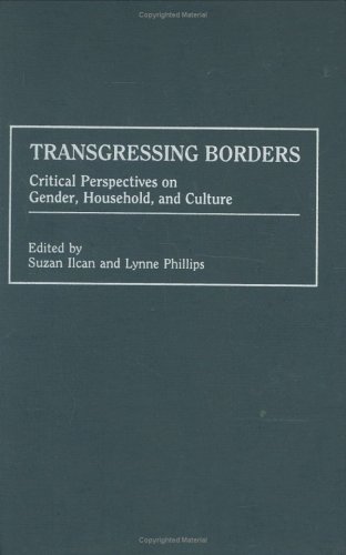 Book cover for Transgressing Borders