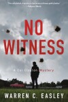 Book cover for No Witness