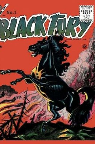 Cover of Black Fury #1