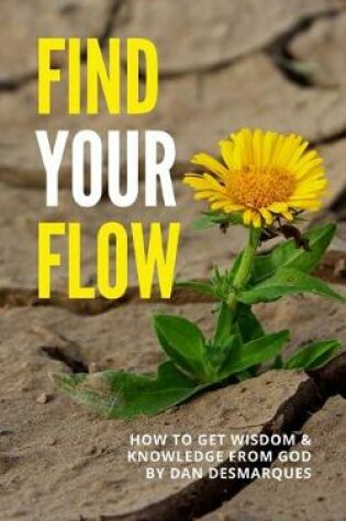 Cover of Find Your Flow