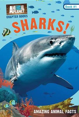 Cover of Sharks! (Animal Planet Chapter Books #1)