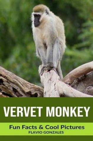 Cover of Vervet Monkey