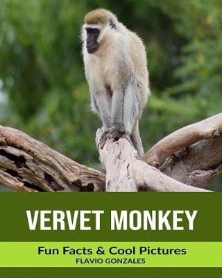 Book cover for Vervet Monkey