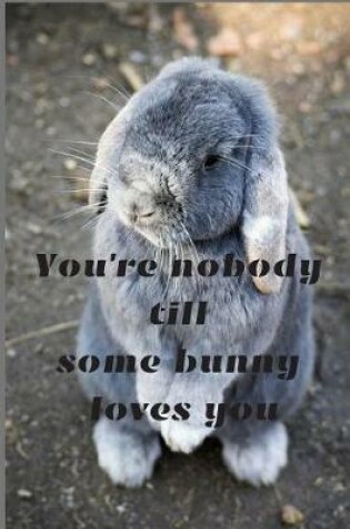 Cover of You're nobody till some bunny loves you