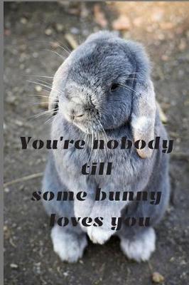 Book cover for You're nobody till some bunny loves you