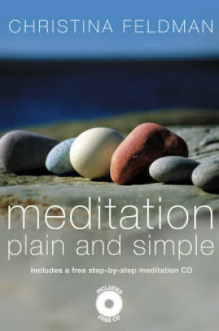 Cover of Meditation Plain and Simple