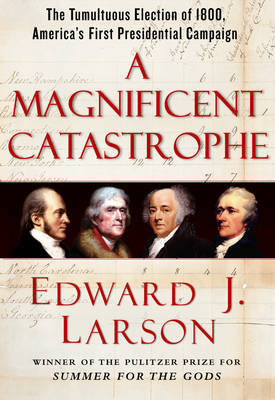 Book cover for A Magnificent Catastrophe