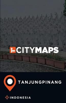 Book cover for City Maps Tanjungpinang Indonesia