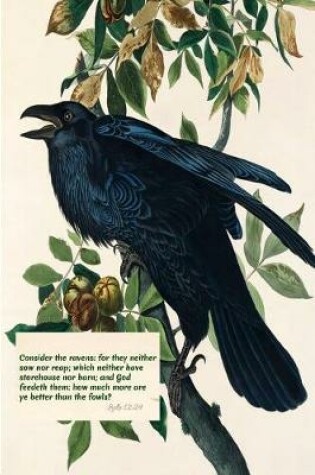 Cover of Consider the Ravens
