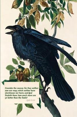 Book cover for Consider the Ravens