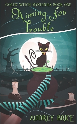 Book cover for Aiming for Trouble