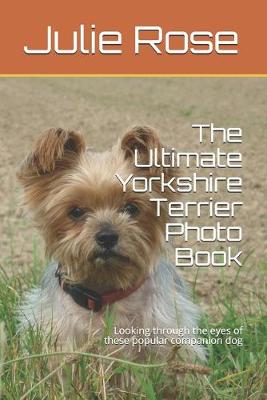 Book cover for The Ultimate Yorkshire Terrier Photo Book