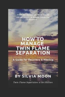 Book cover for How to Manage Twin Flame Separation