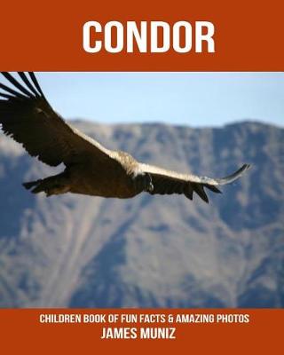 Book cover for Condor