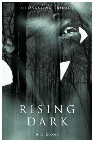 Cover of Rising Dark