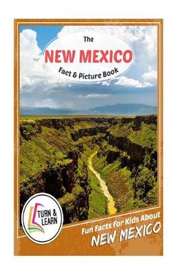 Book cover for The New Mexico Fact and Picture Book