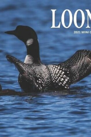 Cover of loons