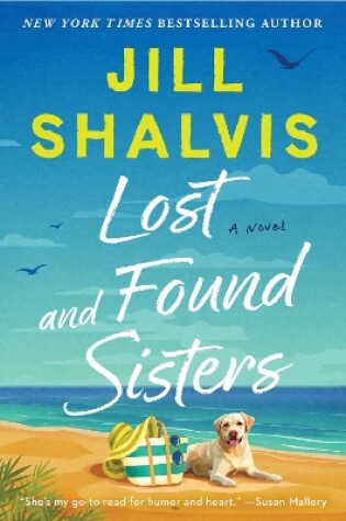Cover of Lost and Found Sisters