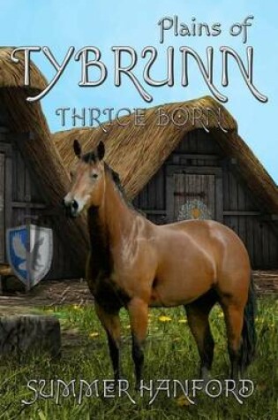 Cover of Plains of Tybrunn