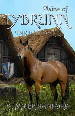 Book cover for Plains of Tybrunn