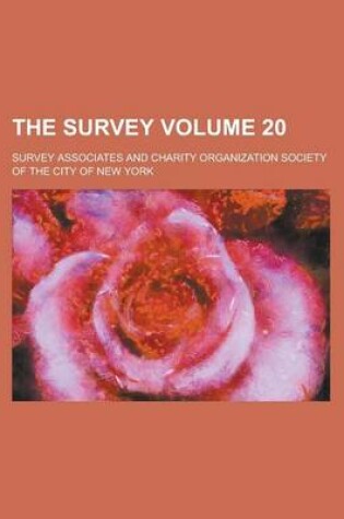 Cover of The Survey (Volume 20)