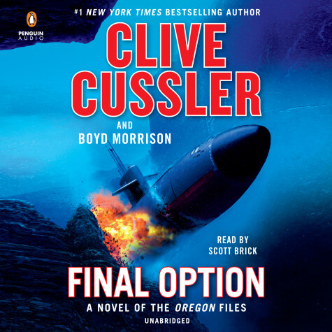 Book cover for Final Option