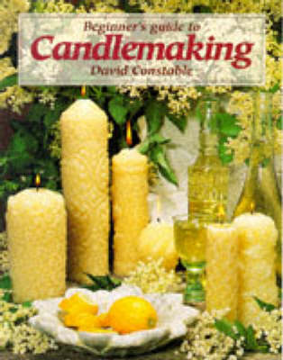 Book cover for Beginner's Guide to Candlemaking