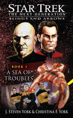 Book cover for A Sea of Troubles