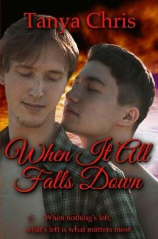 Cover of When It All Falls Down