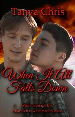 Book cover for When It All Falls Down