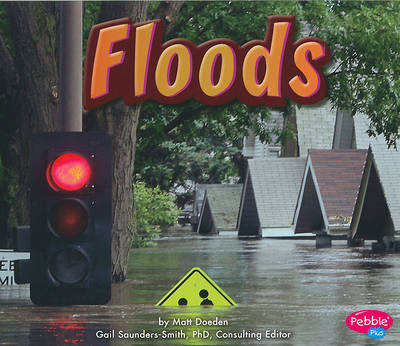 Book cover for Floods