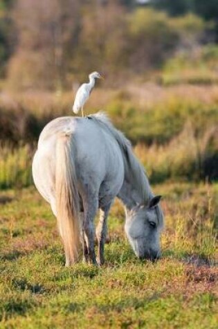 Cover of Cattle Egret on a White Horse Journal