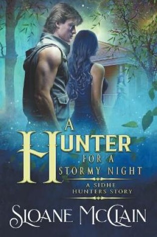 Cover of A Hunter For A Stormy Night